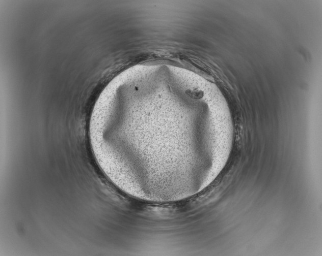 X0000111870466200908131615