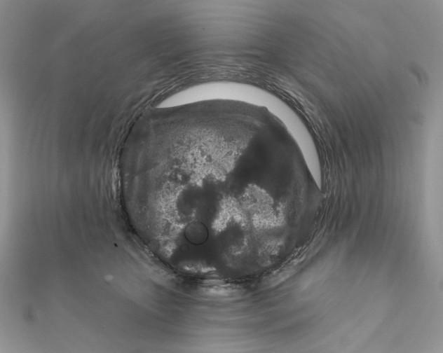 X0000111870467200908131615