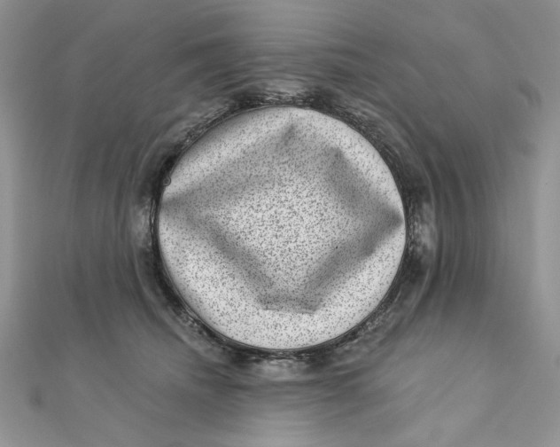 X0000111870468200908131615