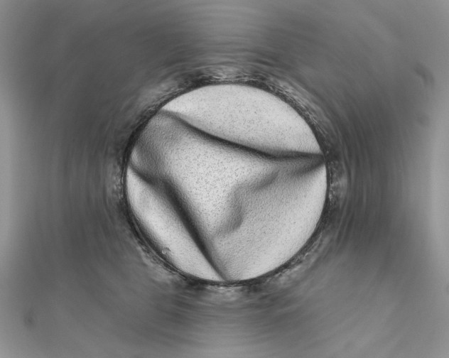 X0000111870469200908131615