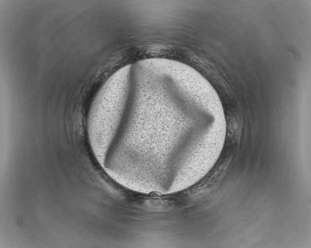 X0000111870470200908131615