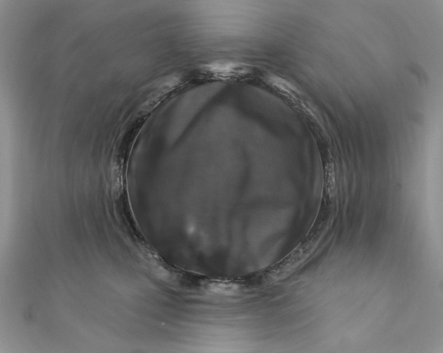 X0000111870471200908131615