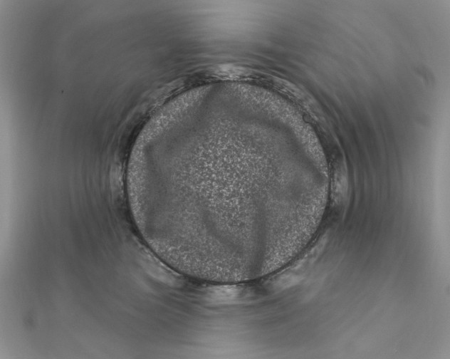 X0000111870473200908131615