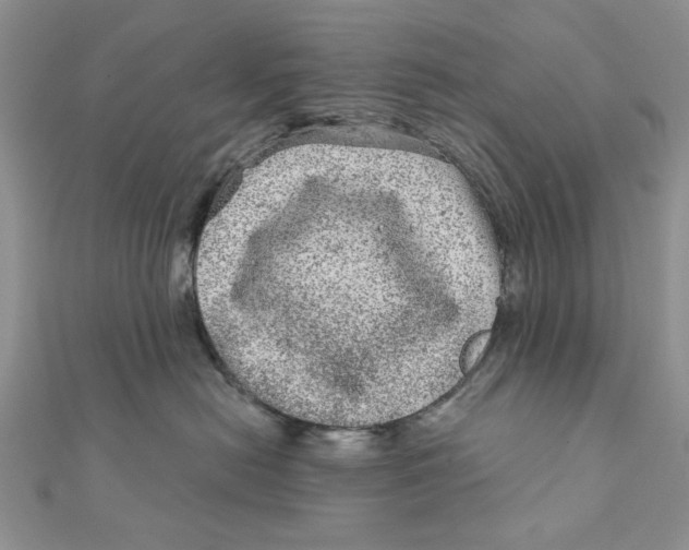 X0000111870478200908131616