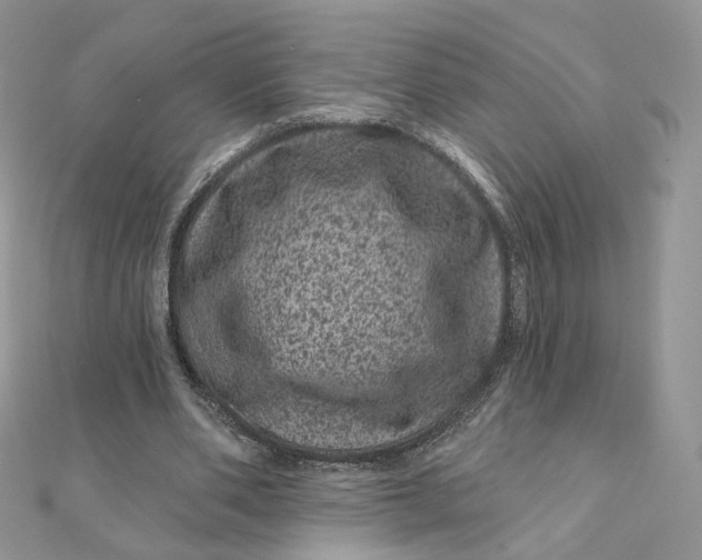 X0000111870486200908131615