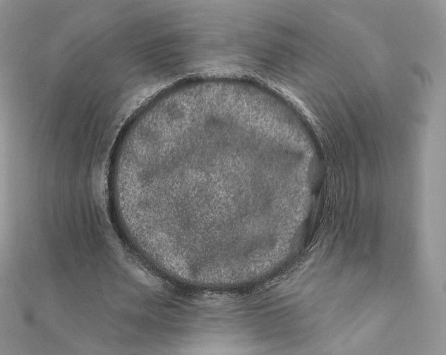 X0000111870487200908131615