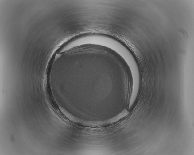 X0000111870488200908131615