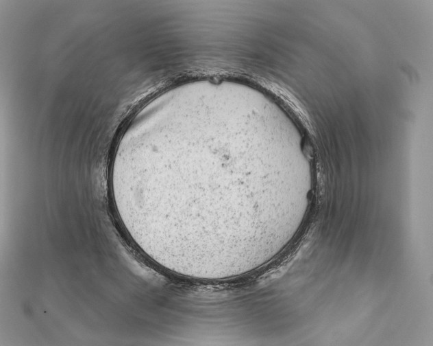 X0000111870489200908131615