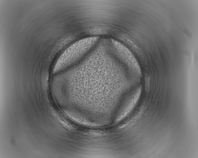 X0000111870490200908131615