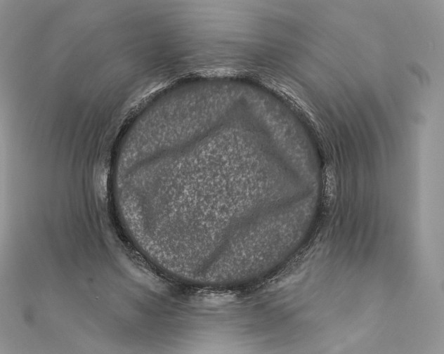 X0000111870491200908131615