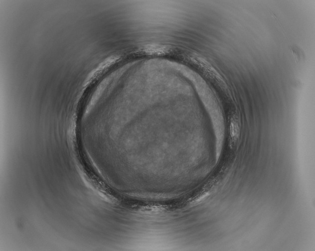 X0000111870492200908131615