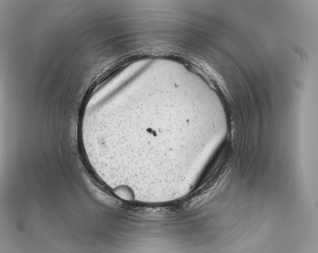 X0000111870493200908131615