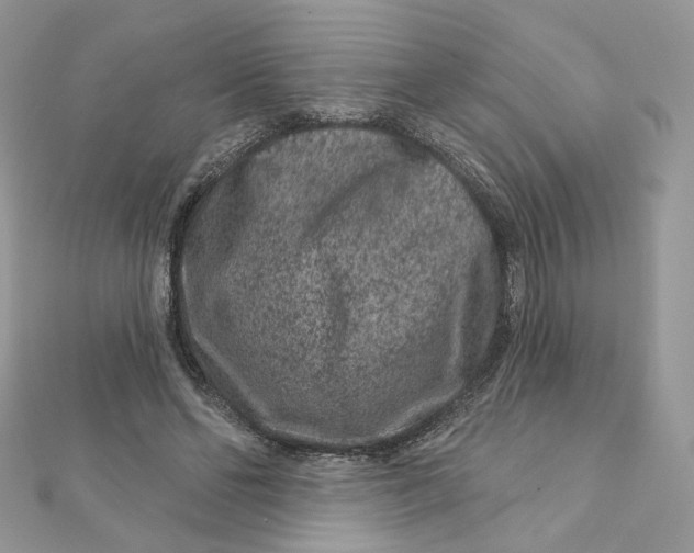 X0000111870494200908131615