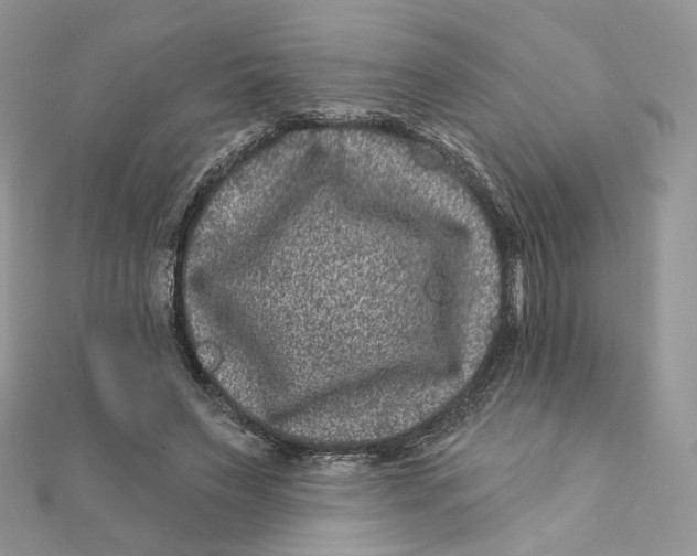 X0000111870495200908131615