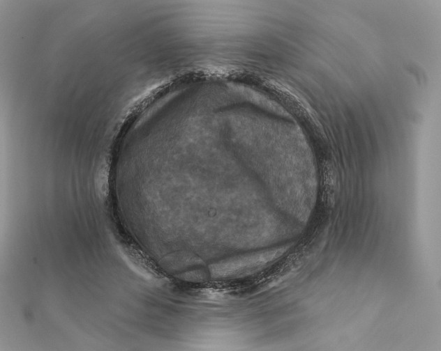 X0000111870496200908131615