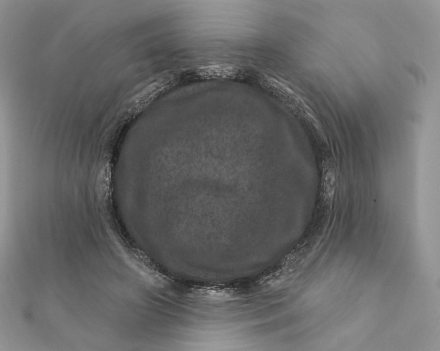 X0000111870498200908131615