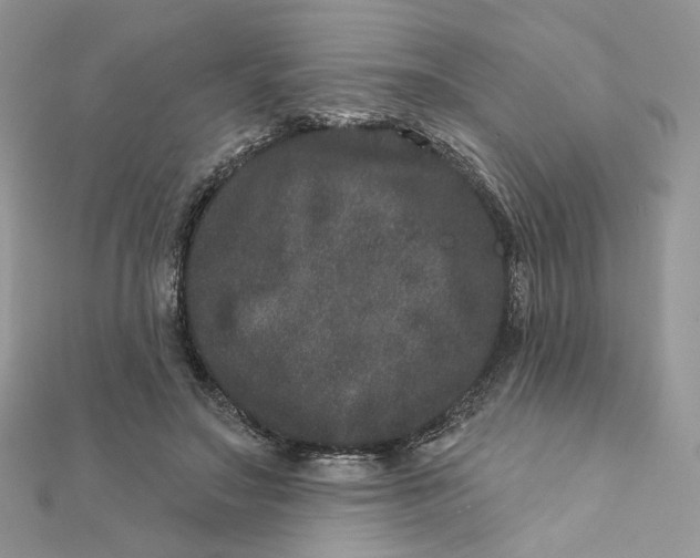 X0000111870499200908131615