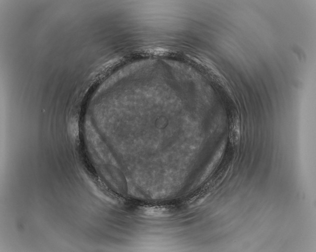 X0000111870500200908131615