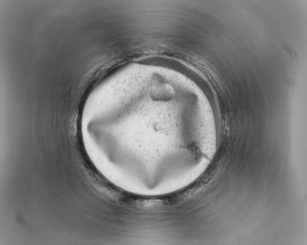 X0000111870501200908131615