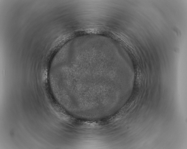 X0000111870502200908131615