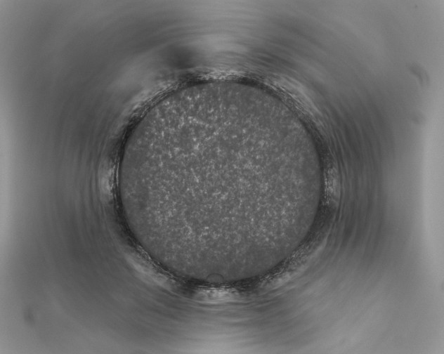 X0000111870503200908131615