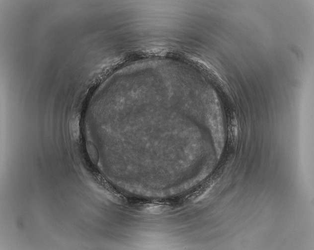 X0000111870504200908131615