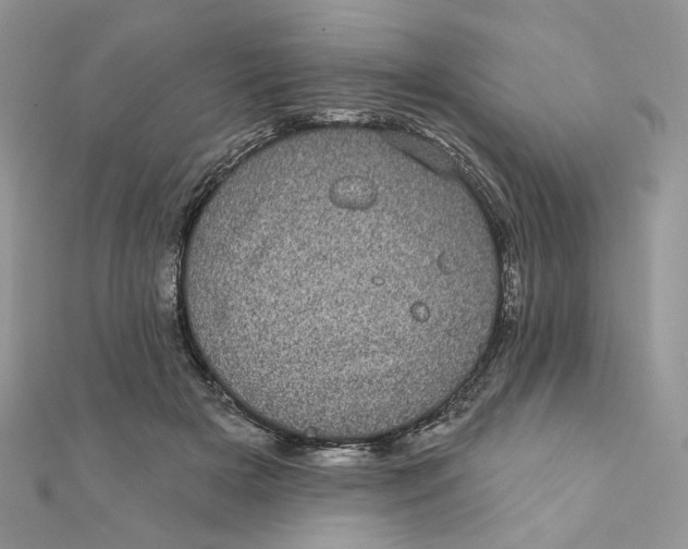 X0000111870505200908131615