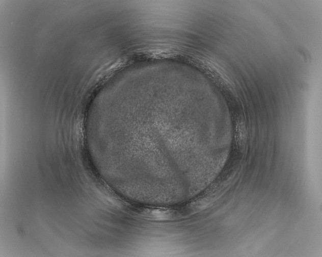 X0000111870506200908131615