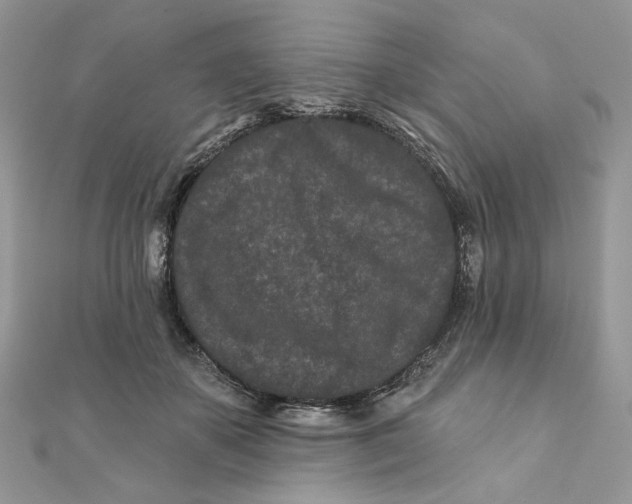 X0000111870507200908131615