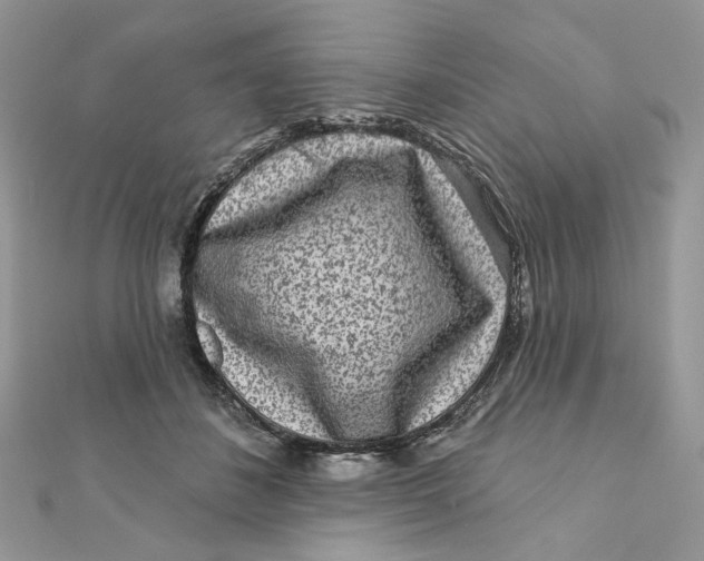 X0000111870508200908131615