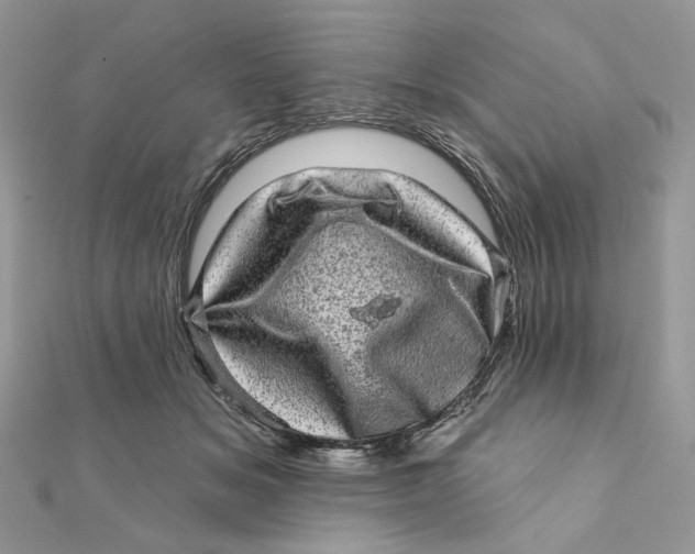 X0000111870509200908131615