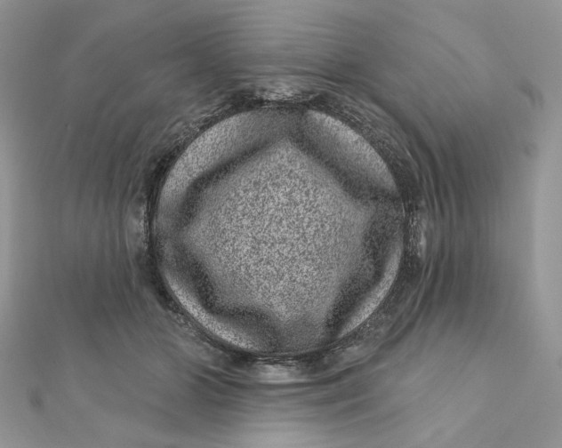 X0000111870510200908131615