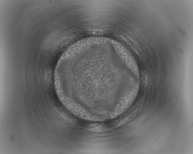 X0000111870511200908131615