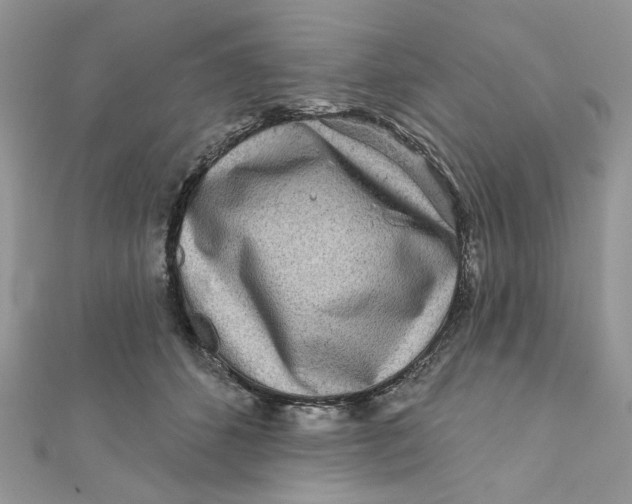 X0000111870512200908131615