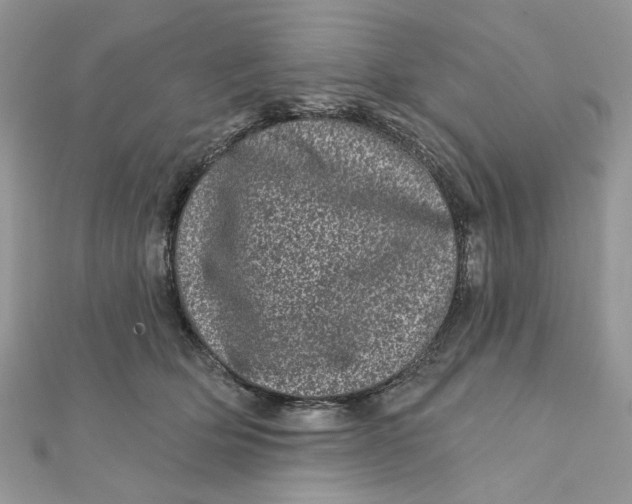 X0000111870514200908131614