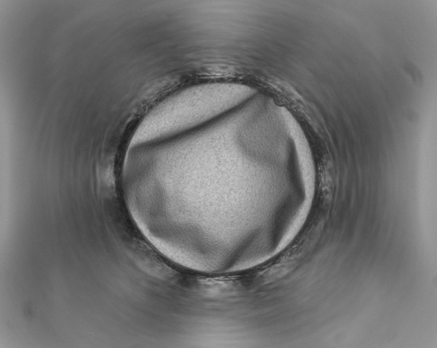 X0000111870516200908131614