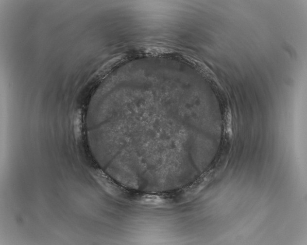 X0000111870519200908131614