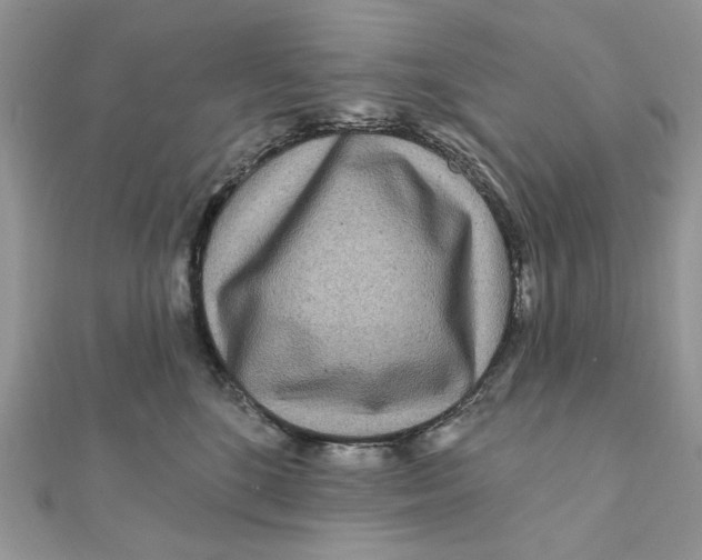 X0000111870520200908131614