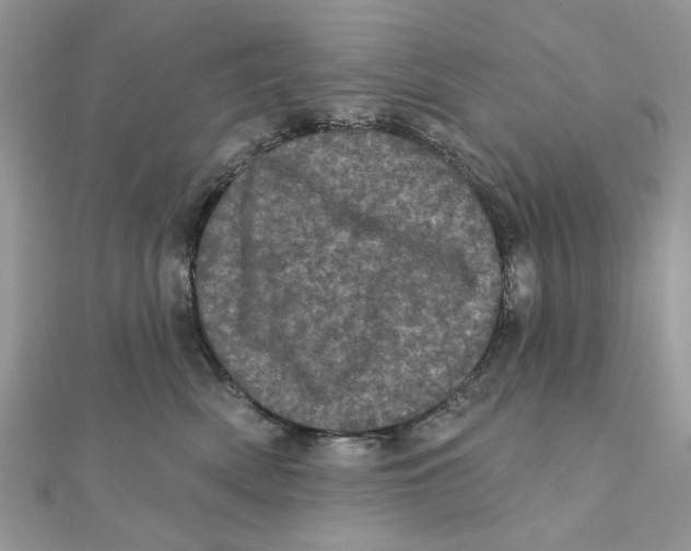 X0000111870522200908131614