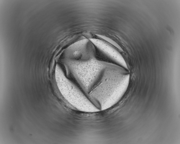 X0000111870524200908131614