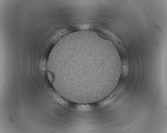 X0000111870525200908131614