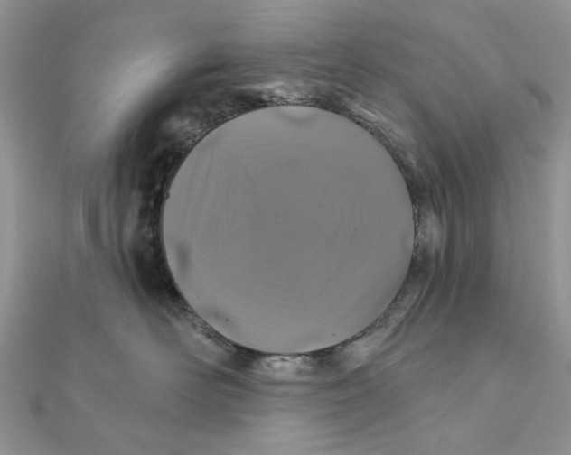 X0000111870526200908131614