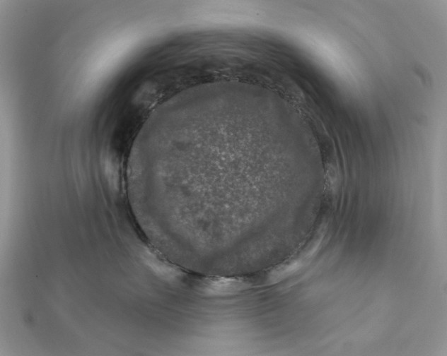 X0000111870527200908131614