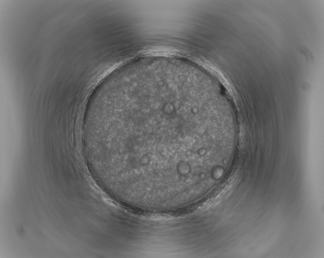 X0000111870529200908131614