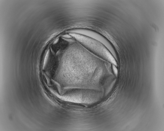 X0000111870530200908131614