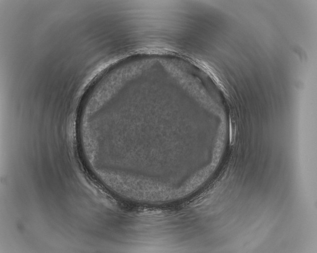 X0000111870531200908131614