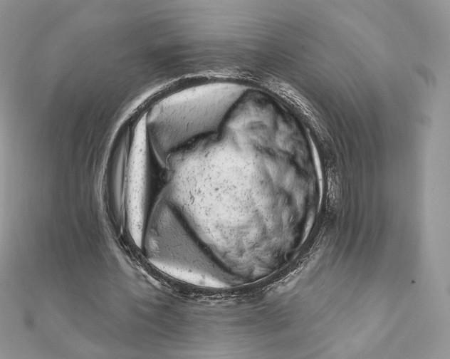 X0000111870532200908131614