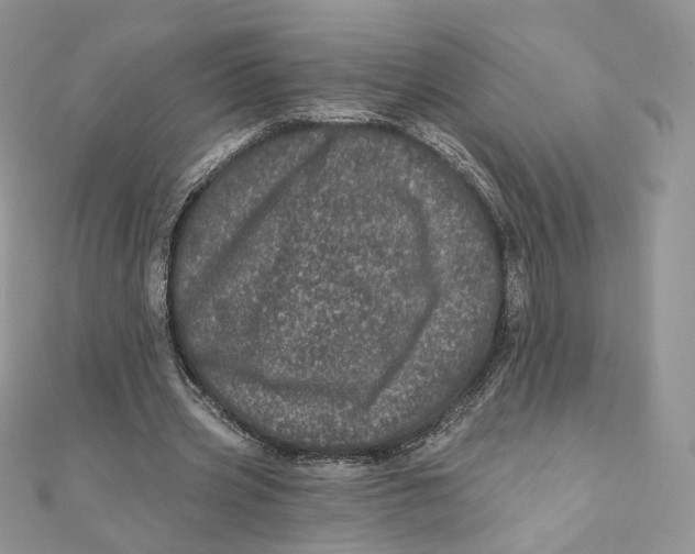 X0000111870533200908131614