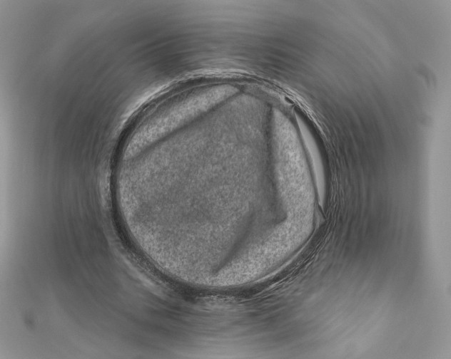 X0000111870535200908131614