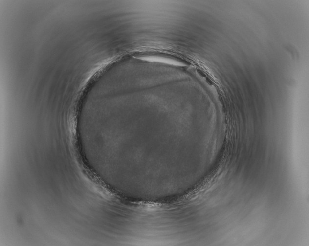 X0000111870539200908131614